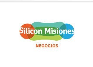 Academia de Negocios Silicon Misiones